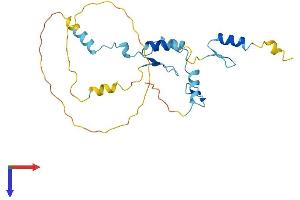 JAZF1 Protein (AA 1-243) (His tag)
