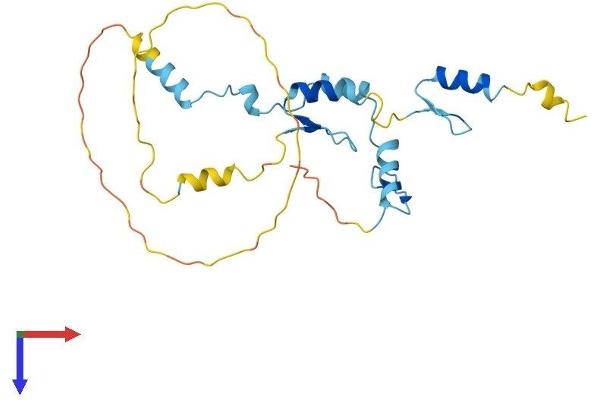 JAZF1 Protein (AA 1-243) (His tag)