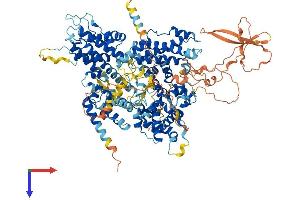 p107 Protein (AA 1-1063) (His tag)