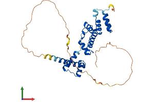 Protein Structure (PS) image for SIX Homeobox 2 (SIX2) (AA 1-291) protein (His tag) (ABIN7555484)
