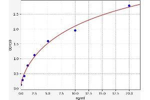 Glycyl-tRNA Synthetase (GARS) ELISA Kit