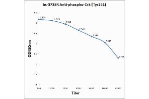 Antigen: 0. (CrkL Antikörper  (pTyr251))