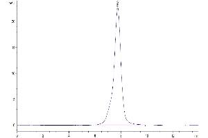 The purity of Mouse Osteoactivin/GPNMB is greater than 95 % as determined by SEC-HPLC. (Osteoactivin Protein (GPNMB) (AA 23-502) (His tag))
