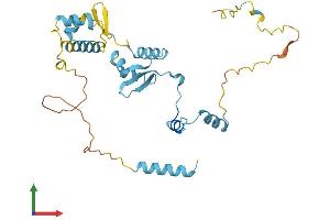 Protein Structure (PS) image for General Transcription Factor IIE, Polypeptide 2 (GTF2E2) (AA 1-291) protein (His tag) (ABIN7544185)