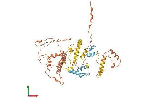 AlphaFold protein structure predicition of Human Recombinant ZNF487 Protein, UniprotID B1APH4