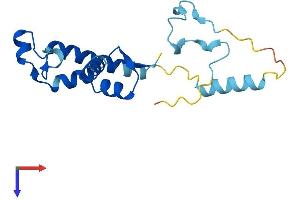 ZMAT5 Protein (AA 1-170) (His tag)