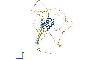 Protein Structure (PS) image for Forkhead Box E1 (Thyroid Transcription Factor 2) (FOXE1) (AA 1-373) protein (His tag) (ABIN7547779)