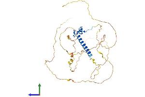 Protein Structure (PS) image for Doublesex and Mab-3 Related Transcription Factor 1 (DMRT1) (AA 1-374) protein (His tag) (ABIN7565164)