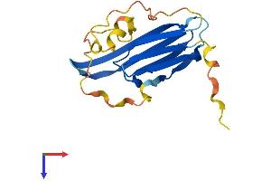 HSPB6 Protein (AA 1-162) (His tag)