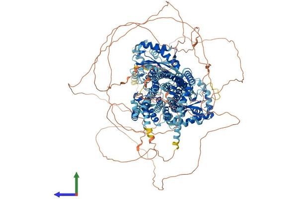 DISP1 Protein (AA 1-1521) (His tag)