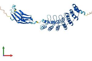 Protein Structure (PS) image for Fibronectin Type III and Ankyrin Repeat Domains 1 (FANK1) (AA 1-344) protein (His tag) (ABIN7561237)