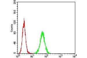 Flow cytometric analysis of Hela cells using HTR3A mouse mAb (green) and negative control (red). (Serotonin Receptor 3A Antikörper  (AA 24-157))