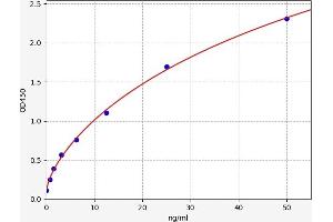 CADM3 ELISA Kit