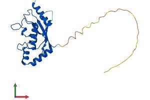 Protein Structure (PS) image for Ubiquitin-Conjugating Enzyme E2T (Ube2t) (AA 1-197) protein (His tag) (ABIN7544917)