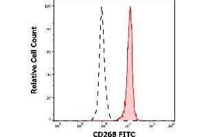 Flow Cytometry (FACS) image for anti-Tumor Necrosis Factor Receptor Superfamily, Member 13C (TNFRSF13C) antibody (FITC) (ABIN7013980)