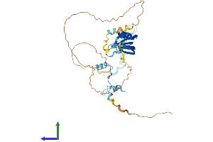 Protein Structure (PS) image for LSM11, U7 Small Nuclear RNA Associated (LSM11) (AA 1-360) protein (His tag) (ABIN7549137)