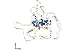 Protein Structure (PS) image for V-Myb Myeloblastosis Viral Oncogene Homolog (Avian) (MYB) (AA 1-636) protein (His tag) (ABIN7562753)