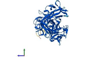 Protein Structure (PS) image for Fascin 2 (FSCN2) (AA 1-492) protein (His tag) (ABIN7547807)