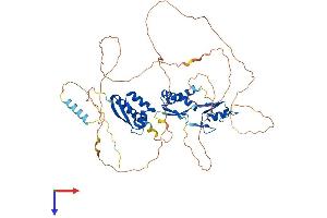 MEX3B Protein (AA 1-569) (His tag)