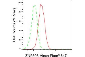 Flow cytometric analysis of ZNF598 expression in HeLa cells using ZNF598 antibody (ABIN7800899), 1:2,000). (ZNF598 Antikörper)