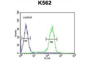 Flow cytometric analysis of K562 cells using RNF185 Antibody  (right histogram) compared to a negative control cell (left histogram).