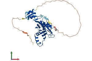 Protein Structure (PS) image for Ribonuclease H1 (RNASEH1) (AA 1-286) protein (His tag) (ABIN7551462)