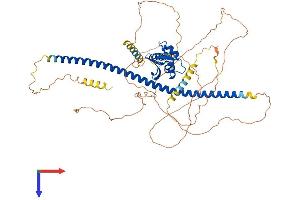 DACH2 Protein (AA 1-634) (His tag)