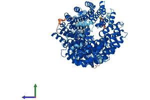 Protein Structure (PS) image for Importin 4 (IPO4) (AA 1-1081) protein (His tag) (ABIN7554169)