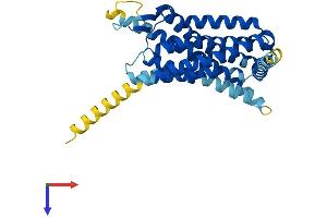 G Protein-Coupled Receptor 33 (Gene/pseudogene) (GPR33) (AA 1-333) protein (His tag)