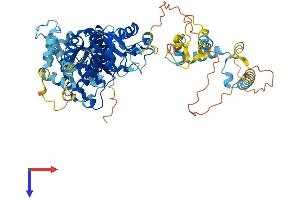 ECD/SGT1 Protein (AA 1-641) (His tag)