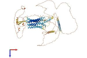 GPR156 Protein (AA 1-814) (His tag)