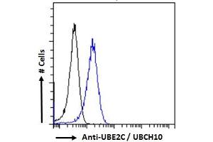 ABIN184805 Flow cytometric analysis of paraformaldehyde fixed HeLa cells (blue line), permeabilized with 0.