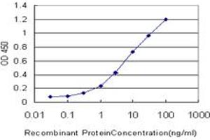 Detection limit for recombinant GST tagged KLK6 is approximately 0. (Kallikrein 6 Antikörper  (AA 91-190))