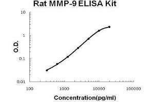 ELISA image for Matrix Metallopeptidase 9 (Gelatinase B, 92kDa Gelatinase, 92kDa Type IV Collagenase) (MMP9) ELISA Kit (ABIN5510644)