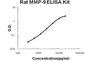 Rat MMP-9 PicoKine ELISA Kit standard curve (MMP 9 ELISA Kit)