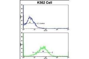 Flow cytometric analysis of K562 cells using SFRP5 Antibody (Center)(bottom histogram) compared to a negative control cell (top histogram). (SFRP5 Antikörper  (AA 219-248))