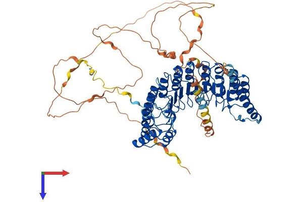 PPP1R37 Protein (AA 1-691) (His tag)
