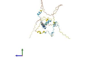 Protein Structure (PS) image for Myozenin 3 (MYOZ3) (AA 1-251) protein (His tag) (ABIN7549606)