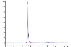 Size-exclusion chromatography-High Pressure Liquid Chromatography (SEC-HPLC) image for Leukemia Inhibitory Factor Receptor alpha (LIFR) (AA 45-833) protein (Fc Tag) (ABIN7275153)