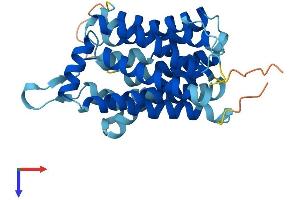 SLC35B1 Protein (AA 1-322) (His tag)