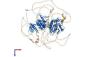 PTPN14 Protein (AA 1-1189) (His tag)