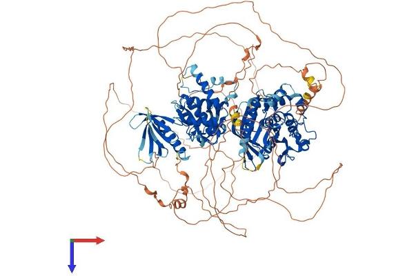 PTPN14 Protein (AA 1-1189) (His tag)