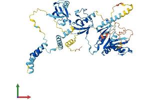 Protein Structure (PS) image for Membrane Protein, Palmitoylated 3 (MAGUK P55 Subfamily Member 3) (MPP3) (AA 1-568) protein (His tag) (ABIN7562690)