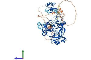 Protein Structure (PS) image for L(3)mbt-Like 4 (L3MBTL4) (AA 1-621) protein (His tag) (ABIN7562043)
