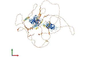 Protein Structure (PS) image for Nuclear Factor of Activated T-Cells, Cytoplasmic, Calcineurin-Dependent 4 (NFATC4) (AA 1-902) protein (His tag) (ABIN7554713)