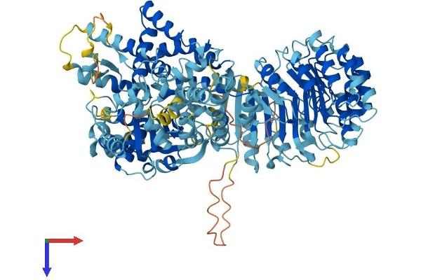 NLRC4 Protein (AA 1-1024) (His tag)