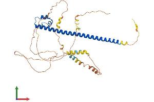 Protein Structure (PS) image for V-Maf Musculoaponeurotic Fibrosarcoma Oncogene Homolog (Avian) (MAF) (AA 1-370) protein (His tag) (ABIN7563451)
