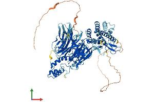 Protein Structure (PS) image for General Transcription Factor IIIC, Polypeptide 4 (GTF3C4) (AA 1-817) protein (His tag) (ABIN7564401)