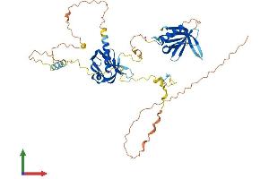 Protein Structure (PS) image for Docking Protein 1, 62kDa (Downstream of tyrosine Kinase 1) (DOK1) (AA 1-481) protein (His tag) (ABIN7547187)