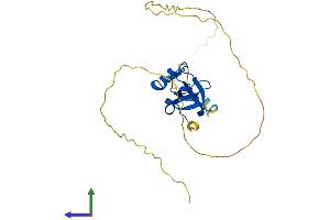 AlphaFold protein structure predicition of Human Recombinant HDGF Protein, UniprotID P51858